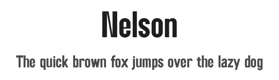 Nelson by Perfectype — Sans Serif Font