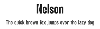 Nelson by Perfectype — Sans Serif Font — thumbnail 1