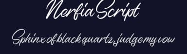 Nerfia Script by Colative Studio — Script Handwritten Font — thumbnail 2
