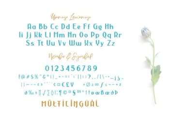 Nermola Duo Font by Alit Design — Script Handwritten Font — thumbnail 6