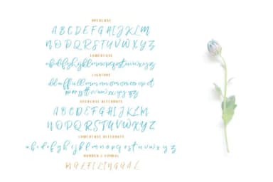 Nermola Duo Font by Alit Design — Script Handwritten Font — thumbnail 9