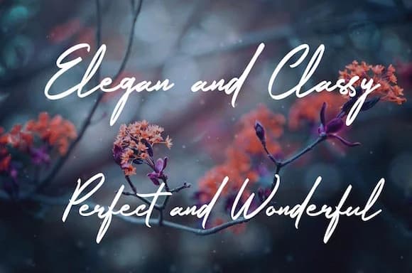 Nerty Font by herry.ziyou — Script Handwritten Font