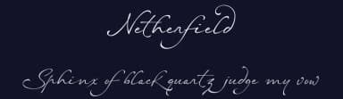 Netherfield by Ef Studio — Script Handwritten Font — thumbnail 2