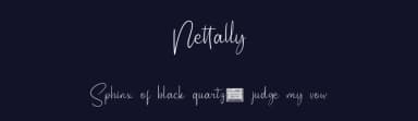 Nettally by twinletter — Script Handwritten Font — thumbnail 2