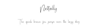 Nettally by twinletter — Script Handwritten Font — thumbnail 1