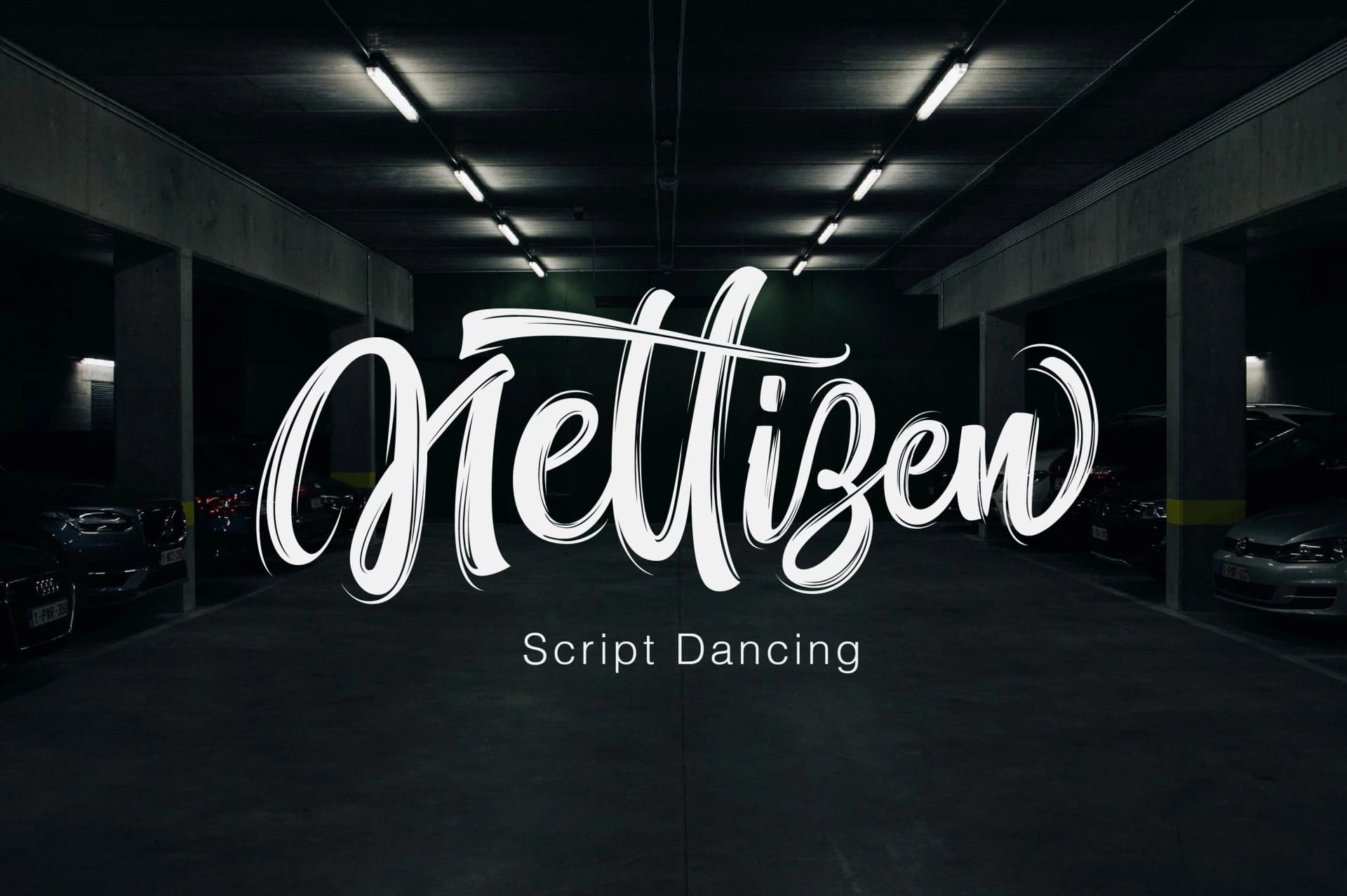 Nettizen Font by Olexstudio — Script Handwritten Font — preview 1