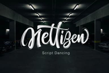 Nettizen Font by Olexstudio — Script Handwritten Font — thumbnail 1