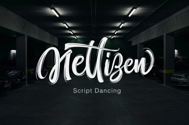 Nettizen Font by Olexstudio — Script Handwritten Font