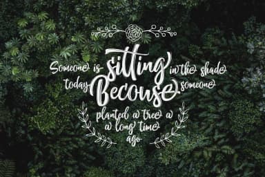 Nettizen Font by Olexstudio — Script Handwritten Font — thumbnail 5