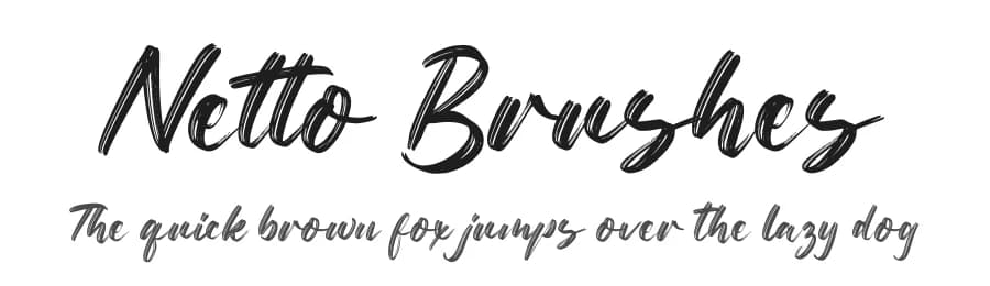 Netto Brushes by FatmaStudio — Script Handwritten Font