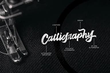 Never Ending Font by InspiraType — Script Handwritten Font — thumbnail 3