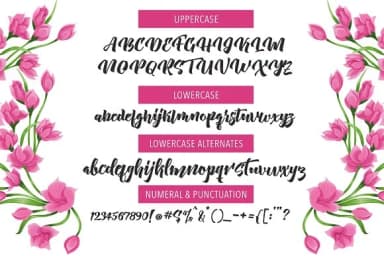 New Aprillia Font by Olexstudio — Script Handwritten Font — thumbnail 5