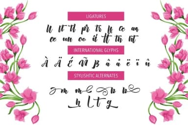 New Aprillia Font by Olexstudio — Script Handwritten Font — thumbnail 6