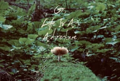 New Horizons Font by lunarctic — Script Handwritten Font — thumbnail 2