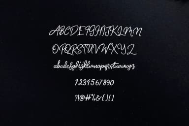 New Man Font by LebahStudio — Script Handwritten Font — thumbnail 2