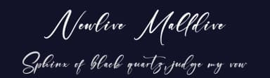 Newlive Malldive by Letterena Studios — Script Handwritten Font — thumbnail 2