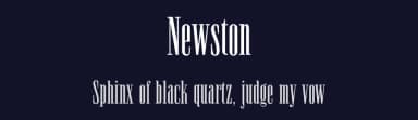 Newston by Arterfak Project — Serif Font — thumbnail 2