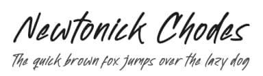Newtonick Chodes by Letterena Studios — Script Handwritten Font — thumbnail 1