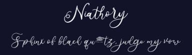 Niathory by Attype Studio — Script Handwritten Font — thumbnail 2