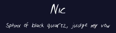 Nic by nicshackle — Script Handwritten Font — thumbnail 2