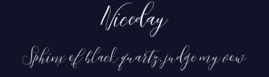 Niceday by AnyTypeCo — Script Handwritten Font — thumbnail 2