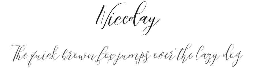 Niceday by AnyTypeCo — Script Handwritten Font