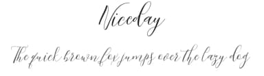 Niceday by AnyTypeCo — Script Handwritten Font — thumbnail 1