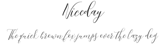 Niceday by AnyTypeCo — Script Handwritten Font