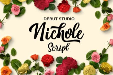 Nichole Script Font by Debut Studio — Script Handwritten Font — thumbnail 1