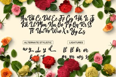 Nichole Script Font by Debut Studio — Script Handwritten Font — thumbnail 5