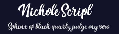 Nichole Script by Debut Studio — Script Handwritten Font — thumbnail 2