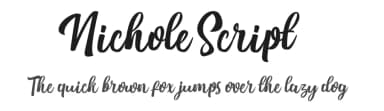 Nichole Script by Debut Studio — Script Handwritten Font — thumbnail 1
