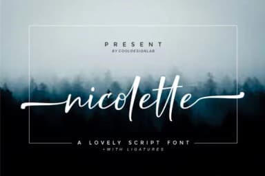 Nicolette Script Font by Cooldesignlab — Script Handwritten Font — thumbnail 1