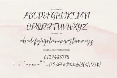 Nicolette Script Font by Cooldesignlab — Script Handwritten Font — thumbnail 8