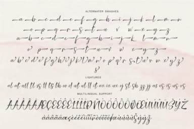 Nicolette Script Font by Cooldesignlab — Script Handwritten Font — thumbnail 9