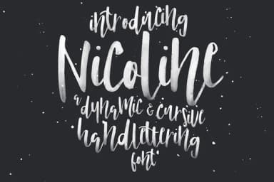 Nicoline Font by Blue Robin Design Shop — Script Handwritten Font — thumbnail 1