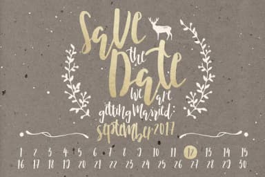 Nicoline Font by Blue Robin Design Shop — Script Handwritten Font — thumbnail 5