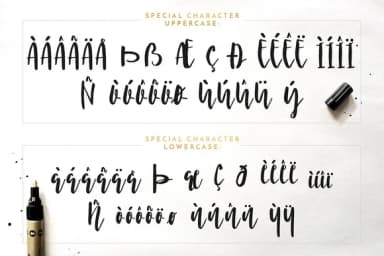 Nicoline Font by Blue Robin Design Shop — Script Handwritten Font — thumbnail 7