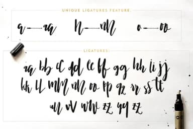 Nicoline Font by Blue Robin Design Shop — Script Handwritten Font — thumbnail 8