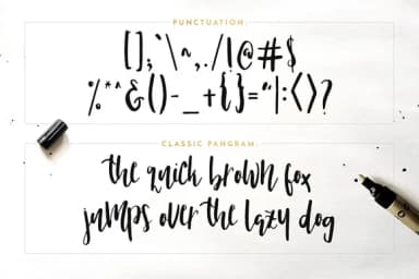 Nicoline Font by Blue Robin Design Shop — Script Handwritten Font — thumbnail 9