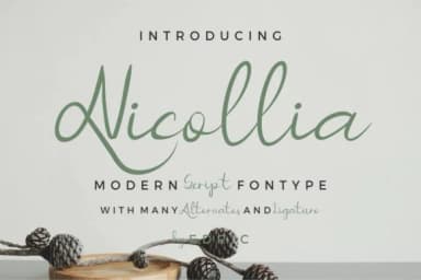 Nicollia Font by EdricStudio — Script Handwritten Font — thumbnail 2