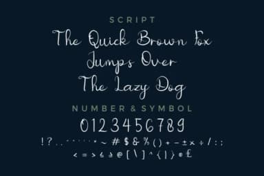 Nicollia Font by EdricStudio — Script Handwritten Font — thumbnail 4