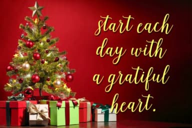 Niderland Script Font by Stellar Studio — Script Handwritten Font — thumbnail 3