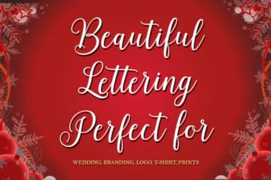 Niderland Script Font by Stellar Studio — Script Handwritten Font — thumbnail 4