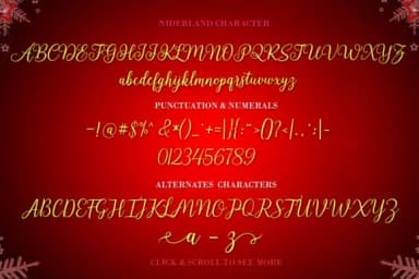 Niderland Script Font by Stellar Studio — Script Handwritten Font — thumbnail 6