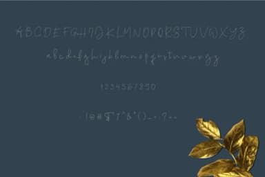 Nigeria Font by ed.creative — Script Handwritten Font — thumbnail 5