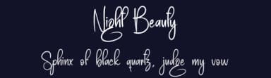 Night Beauty by Scratchones — Script Handwritten Font — thumbnail 2