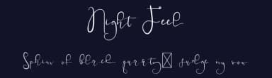 Night Feel by Edric Studio — Script Handwritten Font — thumbnail 2