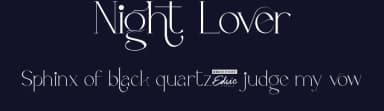 Night Lover by Edric Studio — Serif Font — thumbnail 2