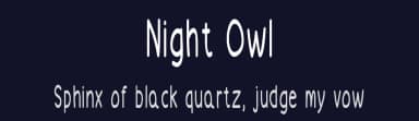 Night Owl by Md Shohail Bhuian — Script Handwritten Font — thumbnail 2